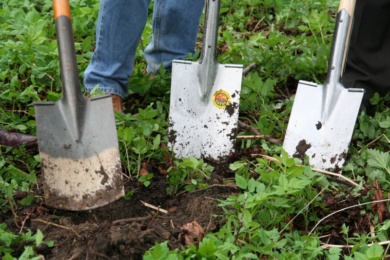 pepiniere-CALLAS-min_work-lawn-flower-tool-green-backyard-1103633-pxhere.com